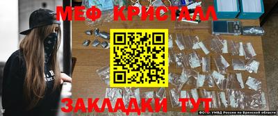 прущие грибы Кандалакша