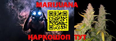 мдпв Кингисепп