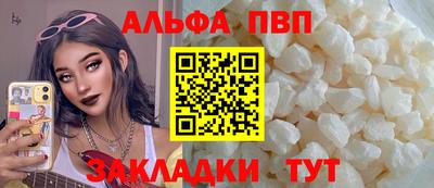прущие грибы Кандалакша