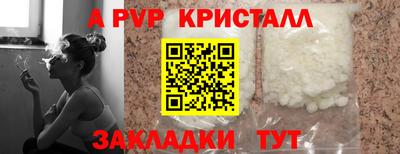 прущие грибы Кандалакша