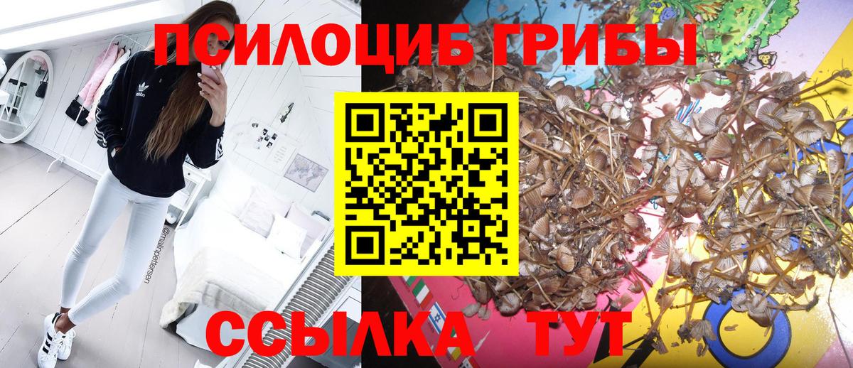 Коммунар  Галлюциногенные грибы Magic Shrooms  купить закладку  Вход с VPN 
