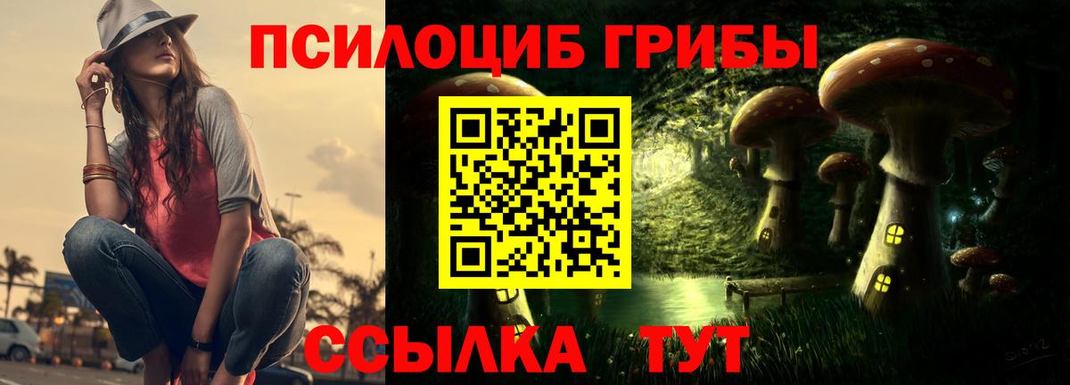 Галлюциногенные грибы Magic Shrooms Коммунар